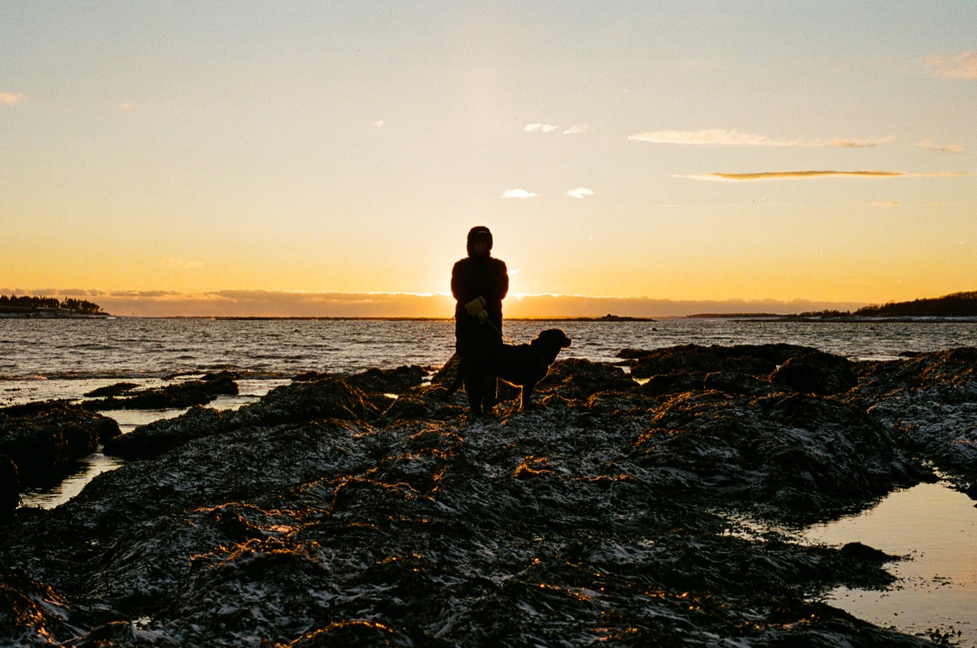 Figure and dog silhouetted on a coastline at dusk